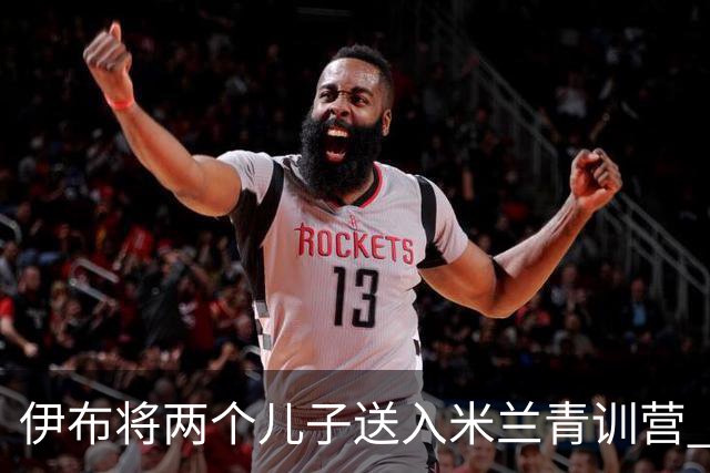 伊布将两个儿子送入米兰青训营 一个U17一个U15