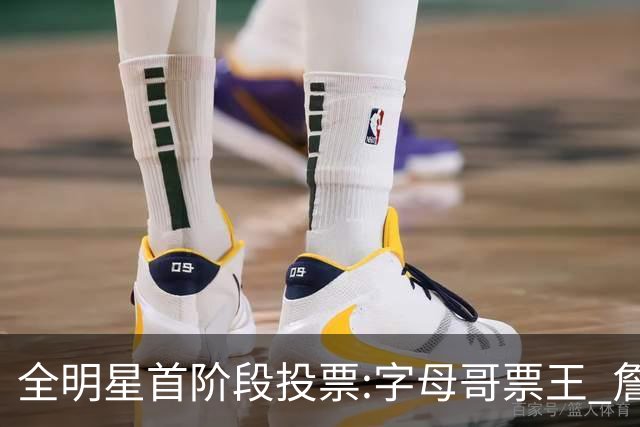 全明星首阶段投票:字母哥票王 詹姆斯西部票王